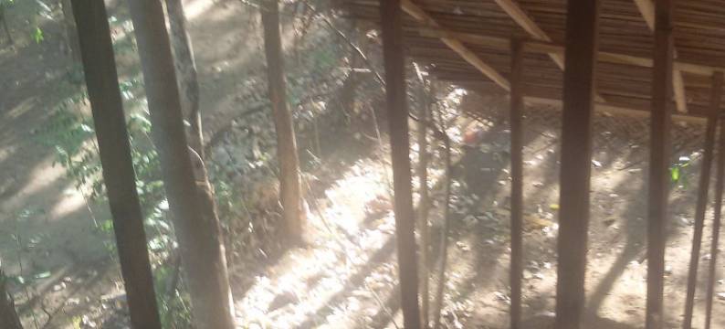 大象选手露营酒店(Elephant Corridori Camping)图片