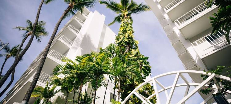 威基基绿洲酒店(Oasis Hotel Waikiki)图片