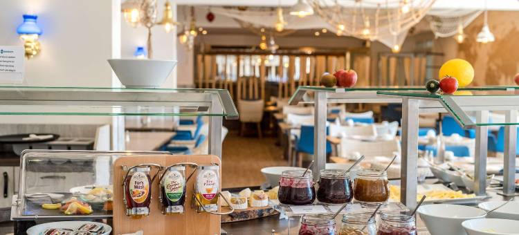 阿尔蔡/沃尔姆斯多林特酒店(Dorint Hotel Alzey/Worms)图片