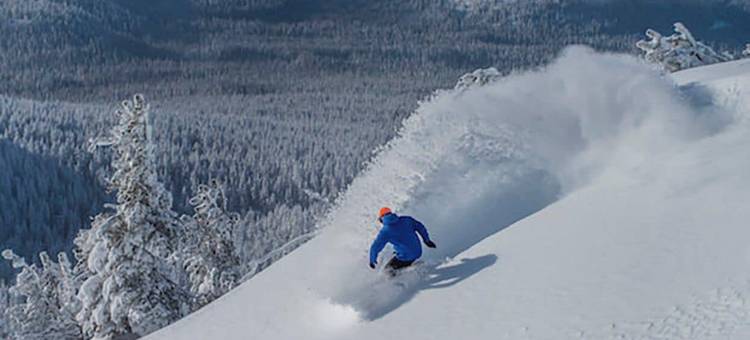 Campfire酒店(Campfire Hotel)图片