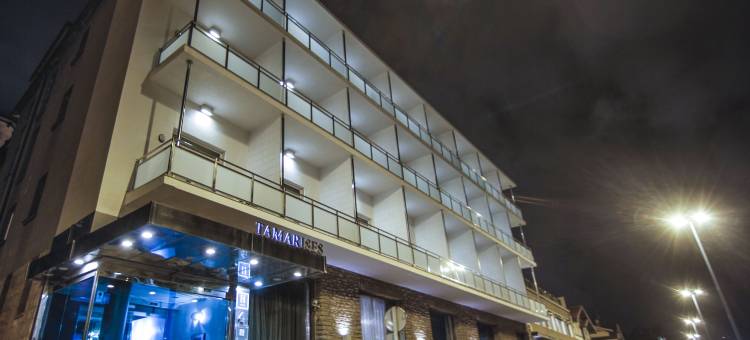 多摩升佩蒂特宫酒店(Petit Palace Tamarises)图片