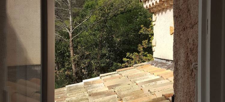 加里尼耶尔酒店(La Garriniere)图片