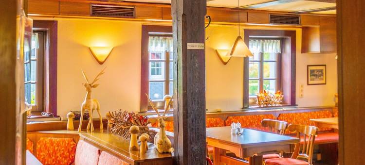 希尔施高登纳酒店(Hotel Goldener Hirsch)图片