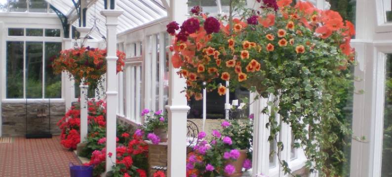 费尔菲尔德别墅酒店(Fairfield House)图片