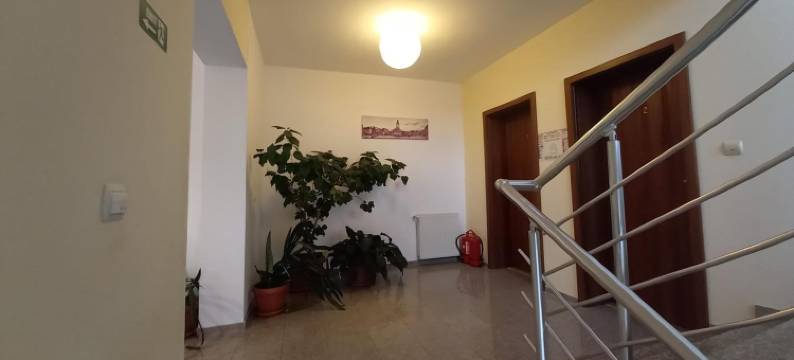 热恩尼翁旅馆(Pensiunea Riunione)图片