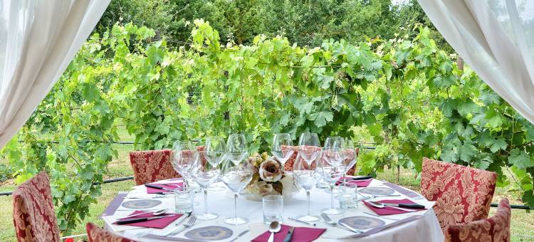 托恰诺韦基奥阿索罗酒店(Torciano Hotel Wine & Winery, Tuscany)图片