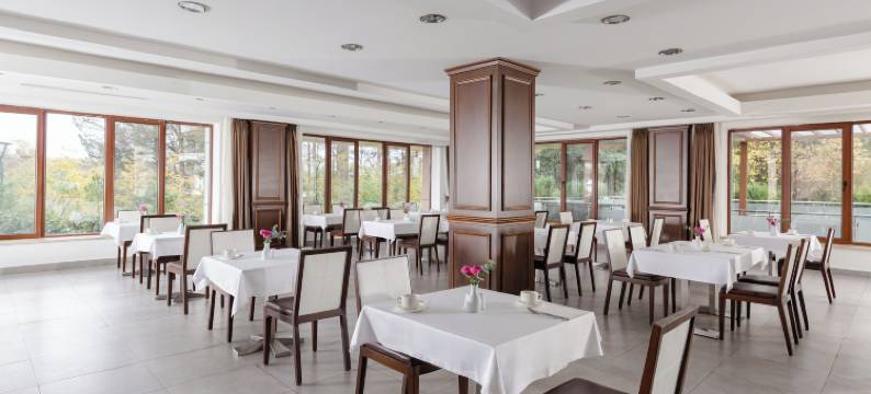 纳夫塔兰梧桐健康酒店(Chinar Health Hotel Naftalan)图片