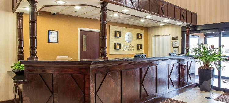 杰克逊堡梅因盖特舒适套房酒店(Comfort Inn & Suites FtJackson Maingate)图片