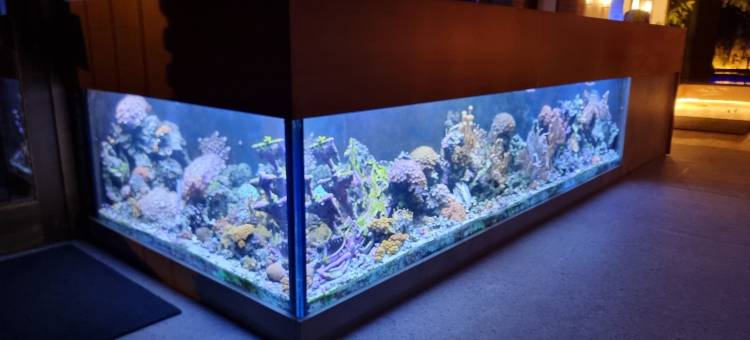 玛丽亚之家旅馆(Pousada Casa de Maria)图片