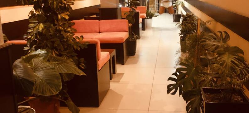 卡梅里亚日出酒店(Sunrise Hotel Cameria)图片