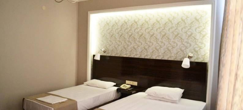 塔克西姆金星酒店(Venus Hotel Taksim)图片