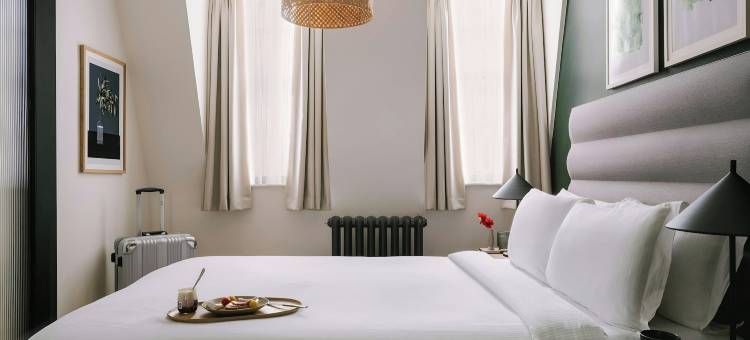 松德尔切尔西绿色(Sonder Chelsea Green)图片