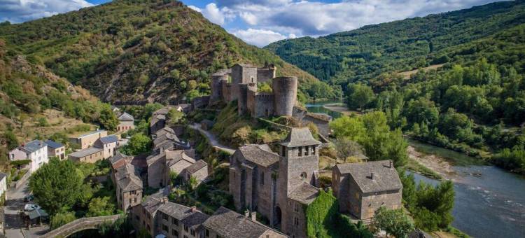 莱瑞莱斯城堡(Hôtel Restaurant le Relays du Chasteau - Logis Hôtel)图片