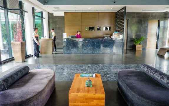 Z Through by the ZignOver view