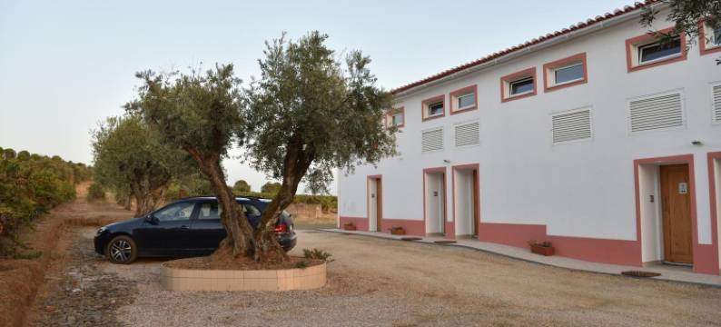 拉托艾拉斯农家乐(Quinta Das Ratoeiras)图片