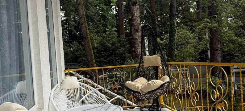 巴统的夏季酒店(summer hotel in batumi)图片