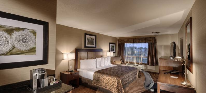 阿西尼波亚卡纳尔塔酒店(Canalta Hotel Assiniboia)图片