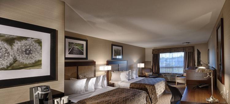 阿西尼波亚卡纳尔塔酒店(Canalta Hotel Assiniboia)图片