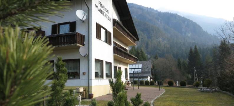 沃克里贝尔旅馆(Pension & Apartments Waldkrieber)图片