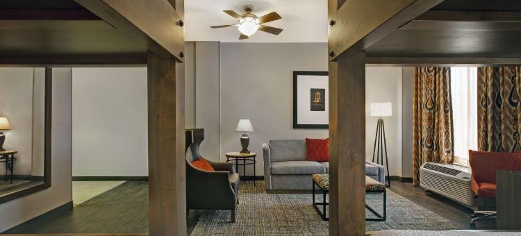 奥斯汀大学-国会大厦希尔顿欢朋酒店及套房(Hampton Inn & Suites Austin @ the University/Capitol)图片