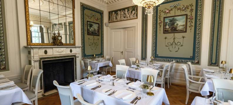 新施特雷利茨城堡酒店(Schlosshotel Neustrelitz)图片