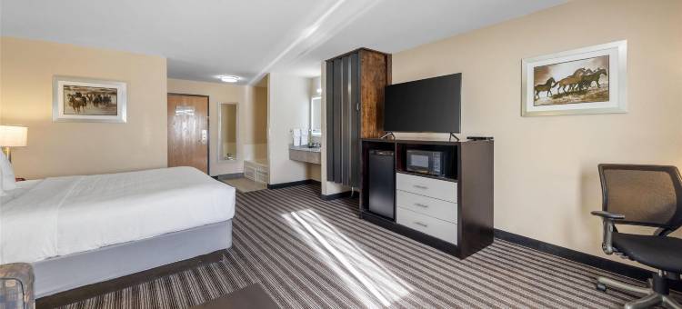 波尔格贝斯特韦斯特酒店(Best Western Borger Inn)图片