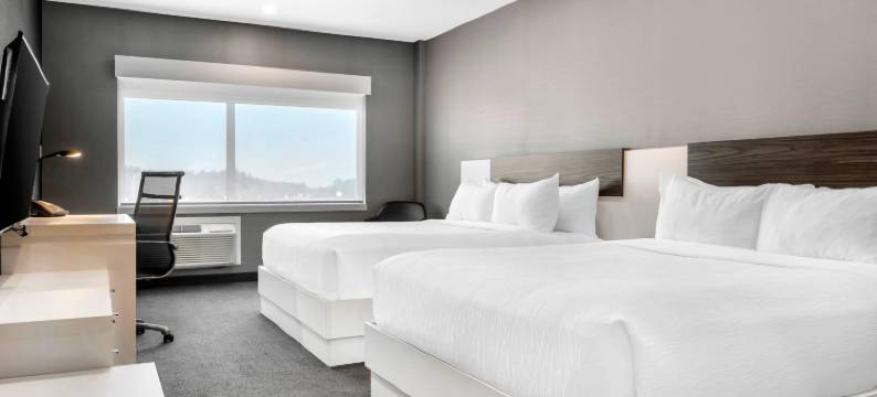 凯艺套房酒店(Quality Inn & Suites)图片