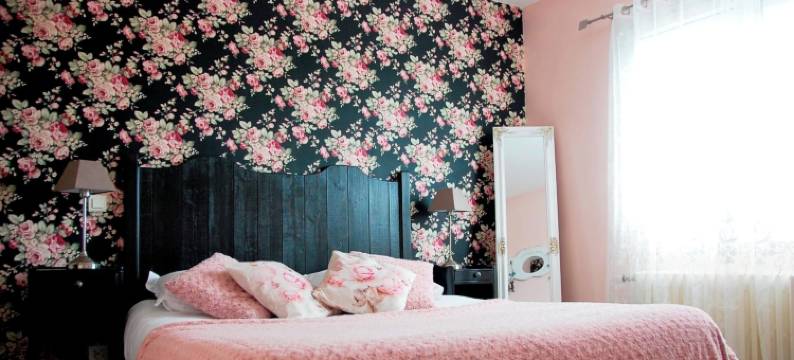 罗亚尔河桥边酒店(Le Pont de la Loire)图片