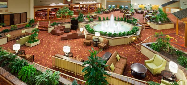 Holiday Inn 辛辛那提机场(Holiday Inn CINCINNATI AIRPORT by IHG)图片