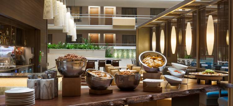 圣安东尼奥国际机场希尔顿安泊酒店(Embassy Suites by Hilton San Antonio Airport)图片