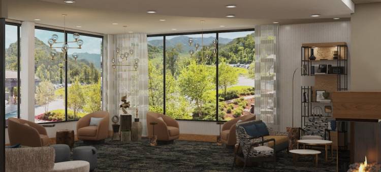 加德林堡市中心英迪格酒店(洲际酒店集团)(Hotel Indigo Gatlinburg Downtown by IHG)图片