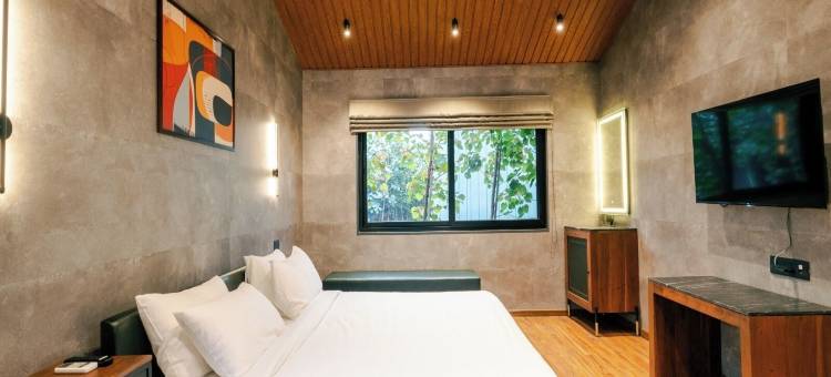 福雷斯特(Forrest)图片