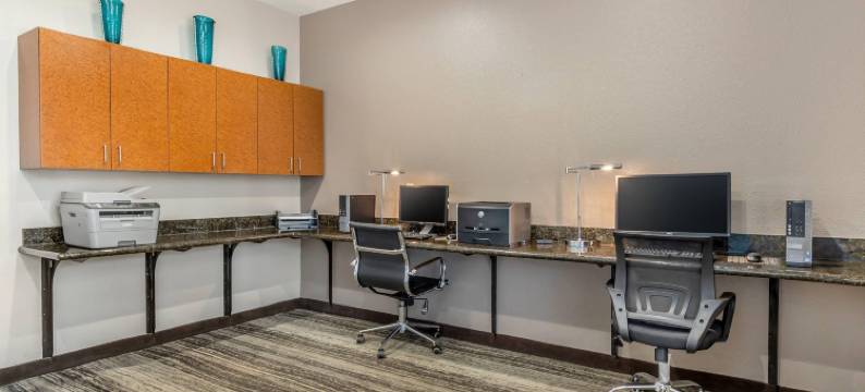 北查尔斯顿-诺斯伍兹舒适套房酒店(Comfort Inn & Suites North Charleston - Northwoods)图片