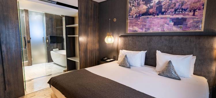 Esplendor by Wyndham Buenos Aires Plaza Francia图片