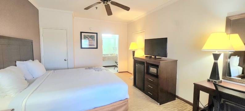 纳瓦索塔温德姆戴斯酒店(Days Inn by Wyndham Navasota)图片