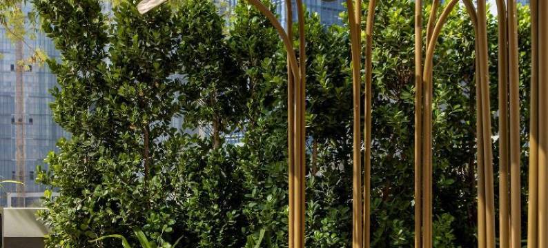 维瓦第瀑布酒店(Hotel Vivaldi Cataratas)图片