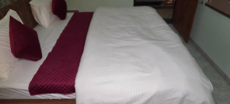 尼尔卡玛尔酒店(Hotel Neel Kamal)图片