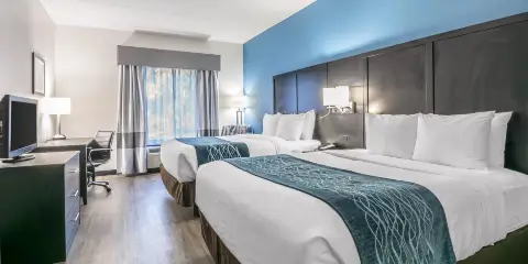 蓋恩斯維爾大學舒適酒店