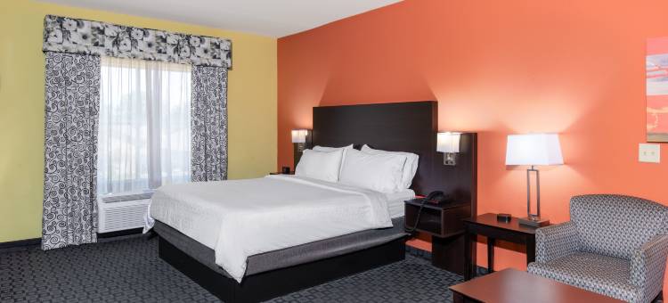 Holiday Inn 花环(Holiday Inn DALLAS - GARLAND by IHG)图片