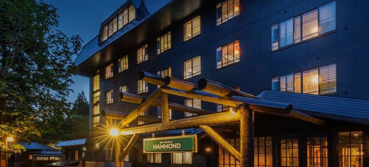 藏王温泉 BED'n ONSEN HAMMOND(名汤之宿 高见屋集团)(BED'n ONSEN HAMMOND)图片