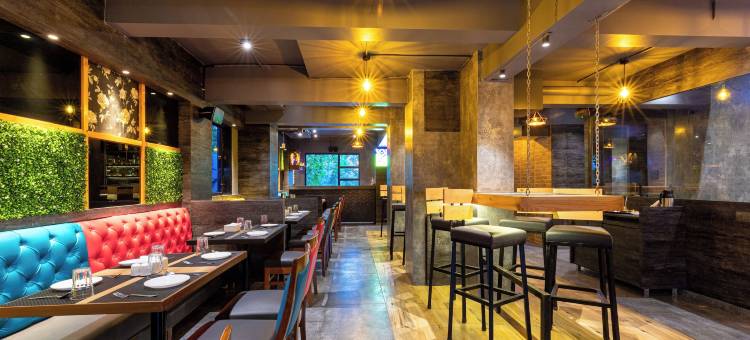 避风港酒店和度假村(The Shelter Hotels and Resorts)图片