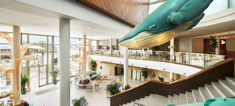 伊贝罗斯塔浪潮加维奥塔斯公园酒店(Iberostar Waves Gaviotas Park)图片