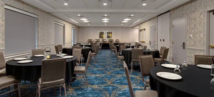 底特律地铁机场希尔顿花园客栈酒店(Hilton Garden Inn Detroit Metro Airport)图片