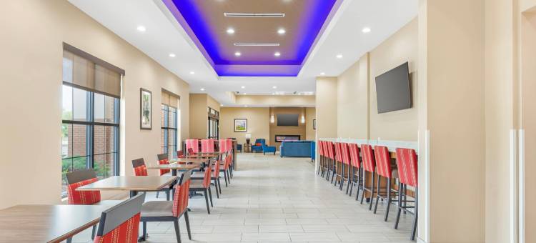 格林斯伯勒 - 高点舒适套房酒店(Comfort Suites Greensboro-High Point)图片