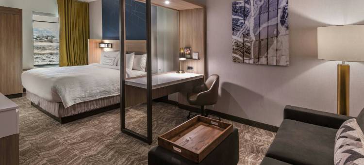 里诺SpringHill Suites酒店(SpringHill Suites Reno)图片