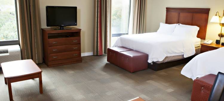 希尔顿欢朋酒店-马丁(Hampton Inn Martin)图片