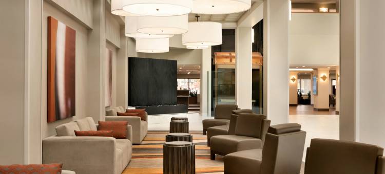 布鲁克菲尔德密尔沃基希尔顿安泊酒店(Embassy Suites by Hilton Milwaukee Brookfield)图片