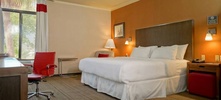 萨尔蒂洛福朋喜来登酒店(Four Points by Sheraton Saltillo)图片