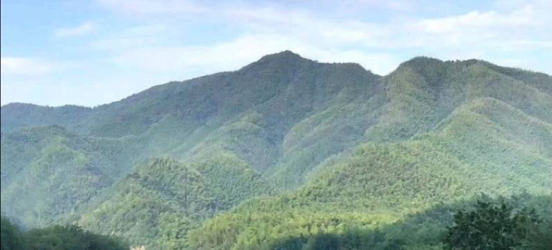 泾县悦居民宿(月亮湾景区店)图片