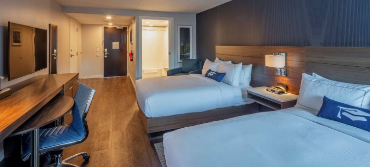 学者州立学院酒店-希尔顿启缤精选酒店(Scholar State College, Tapestry Collection by Hilton)图片